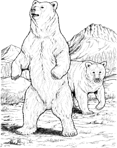 Two Black Bears Coloring Page